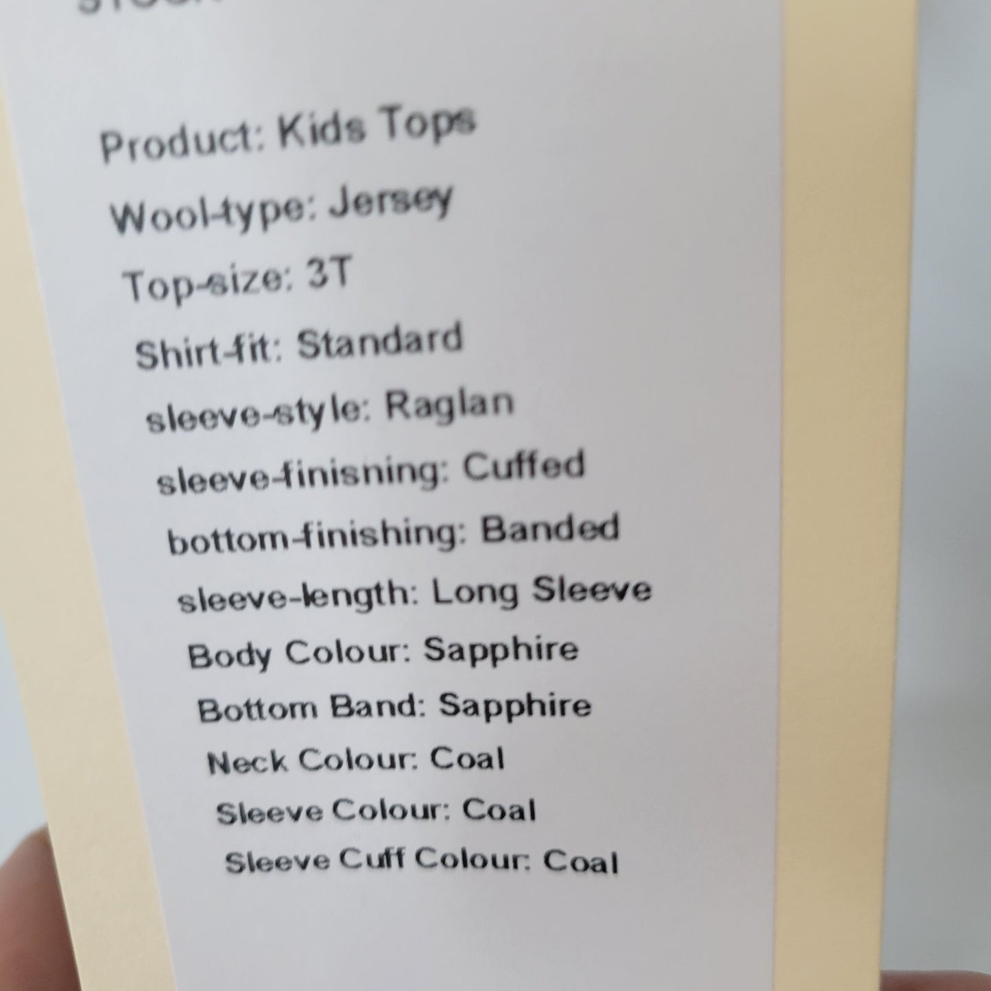 Long Sleeve 3T Jersey Sapphire & Coal